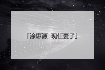 涂惠源 现任妻子