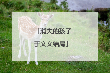 消失的孩子于文文结局