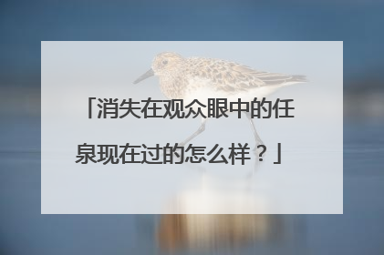 消失在观众眼中的任泉现在过的怎么样?