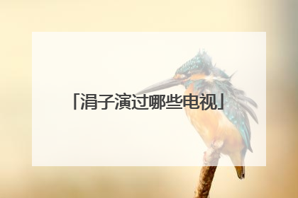 涓子演过哪些电视