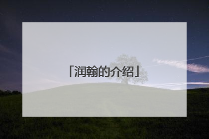 润翰的介绍