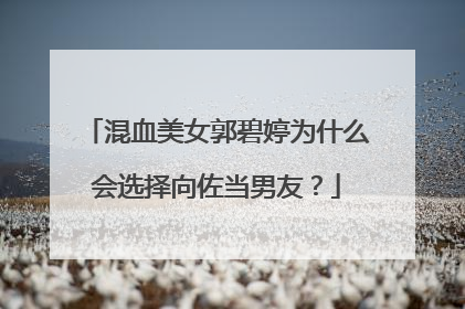 混血美女郭碧婷为什么会选择向佐当男友？