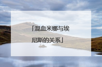 混血米娜与埃尼斯的关系