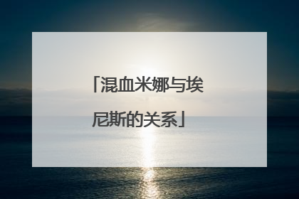 混血米娜与埃尼斯的关系