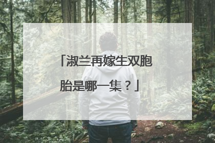 淑兰再嫁生双胞胎是哪一集?