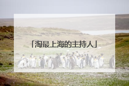 淘最上海的主持人