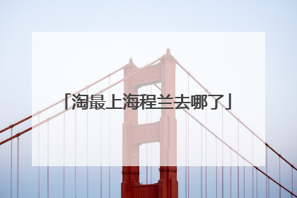 淘最上海程兰去哪了