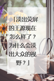 淡出荧屏的王源现在怎么样了?为什么会淡出大众的视野?