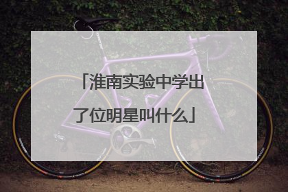 淮南实验中学出了位明星叫什么