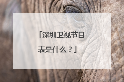 深圳卫视节目表是什么？
