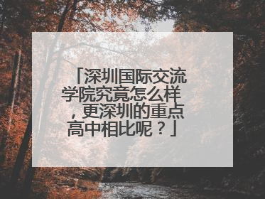 深圳国际交流学院究竟怎么样，更深圳的重点高中相比呢？