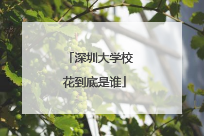 深圳大学校花到底是谁