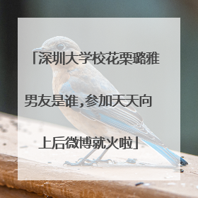 深圳大学校花栗璐雅男友是谁,参加天天向上后微博就火啦