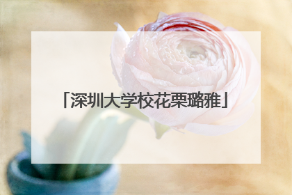 深圳大学校花栗璐雅