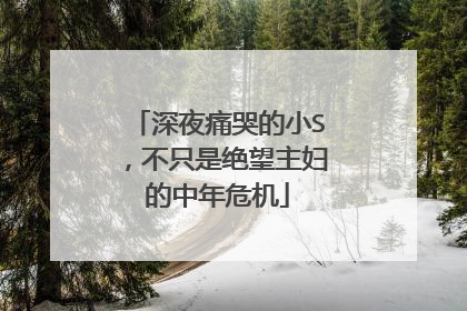 深夜痛哭的小S，不只是绝望主妇的中年危机