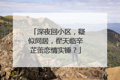 深夜回小区，疑似同居，翟天临辛芷蕾恋情实锤？