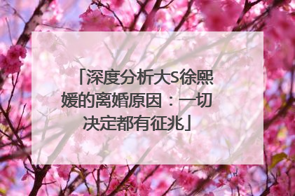 深度分析大S徐熙媛的离婚原因:一切决定都有征兆