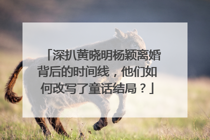 深扒黄晓明杨颖离婚背后的时间线，他们如何改写了童话结局？