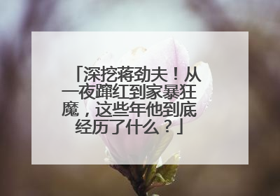 深挖蒋劲夫！从一夜蹿红到家暴狂魔，这些年他到底经历了什么？