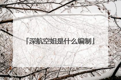 深航空姐是什么编制