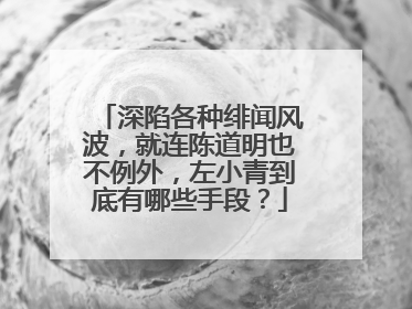 深陷各种绯闻风波，就连陈道明也不例外，左小青到底有哪些手段？