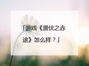 游戏《潜伏之赤途》怎么样?
