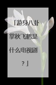 游身八卦掌秋飞鹤是什么电视剧？