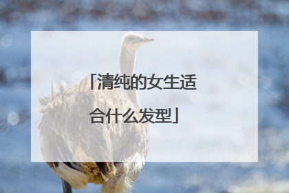 清纯的女生适合什么发型