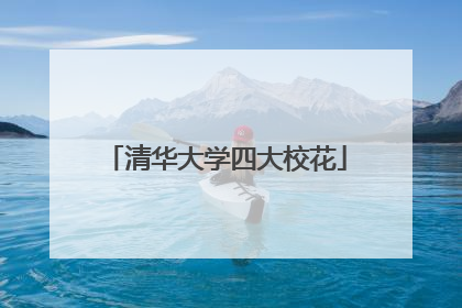 清华大学四大校花