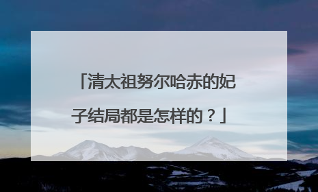 清太祖努尔哈赤的妃子结局都是怎样的?