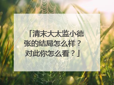 清末大太监小德张的结局怎么样?对此你怎么看?