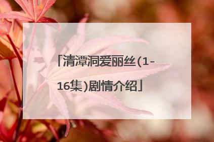清潭洞爱丽丝(1-16集)剧情介绍
