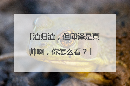 渣归渣,但邱泽是真帅啊,你怎么看?