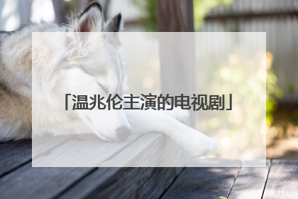 温兆伦主演的电视剧