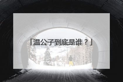 温公子到底是谁？
