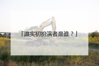 温实初扮演者是谁？