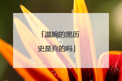 温婉的黑历史是真的吗