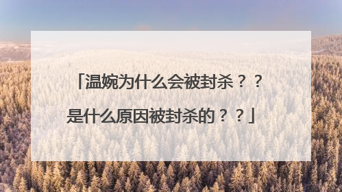 温婉为什么会被封杀？？是什么原因被封杀的？？