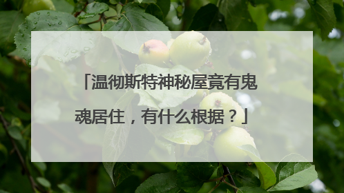 温彻斯特神秘屋竟有鬼魂居住，有什么根据？