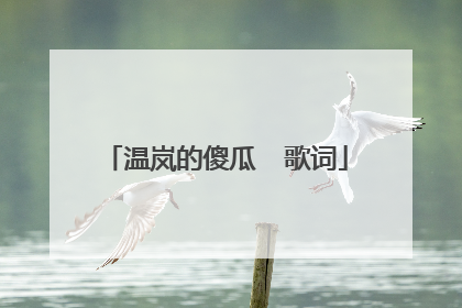 温岚的傻瓜  歌词