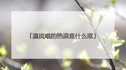 温岚唱的热浪是什么歌