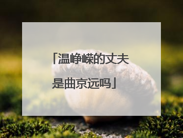 温峥嵘的丈夫是曲京远吗