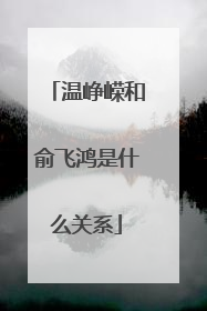 温峥嵘和俞飞鸿是什么关系