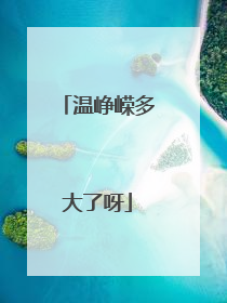 温峥嵘多大了呀