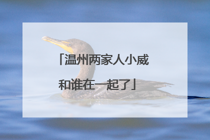 温州两家人小威和谁在一起了