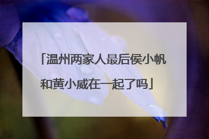 温州两家人最后侯小帆和黄小威在一起了吗