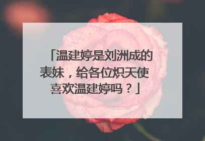 温建婷是刘洲成的表妹,给各位炽天使喜欢温建婷吗?