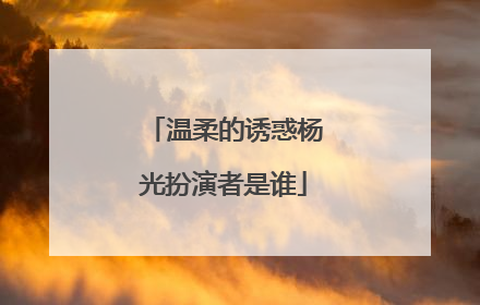 温柔的诱惑杨光扮演者是谁