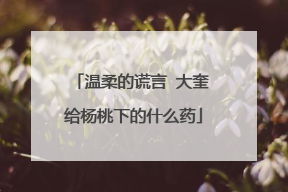 温柔的谎言 大奎给杨桃下的什么药