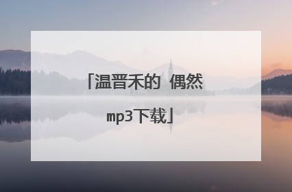 温晋禾的 偶然 mp3下载